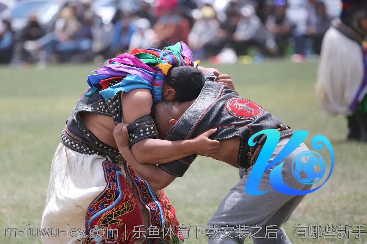 乐鱼体育下载安装之后,有哪些新手必读?