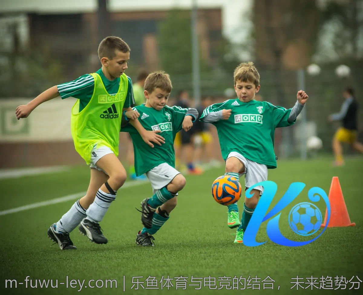 乐鱼体育与电竞的结合,未来趋势分析