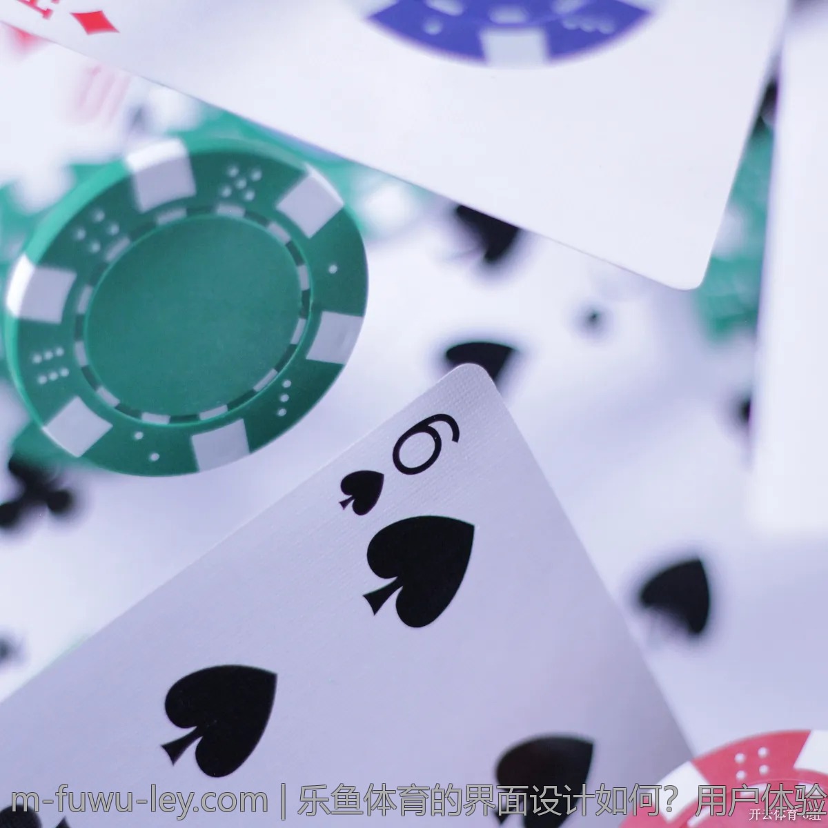 乐鱼体育的界面设计如何?用户体验分享