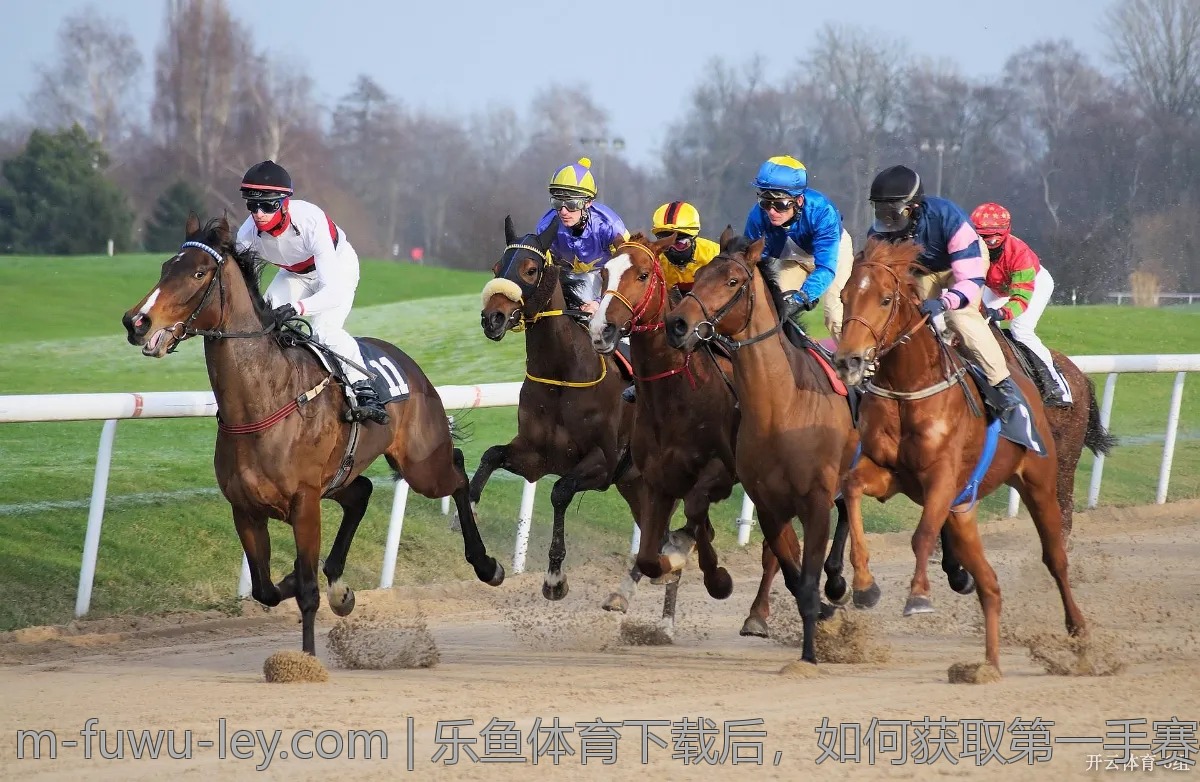 乐鱼体育下载后，如何获取第一手赛事资讯