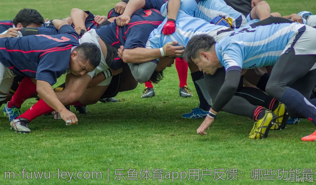 乐鱼体育app用户反馈:哪些功能最受欢迎?