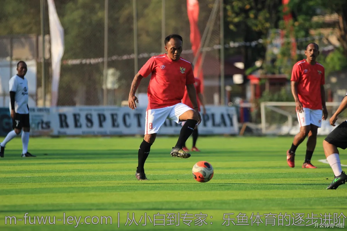 从小白到专家:乐鱼体育的逐步进阶分享