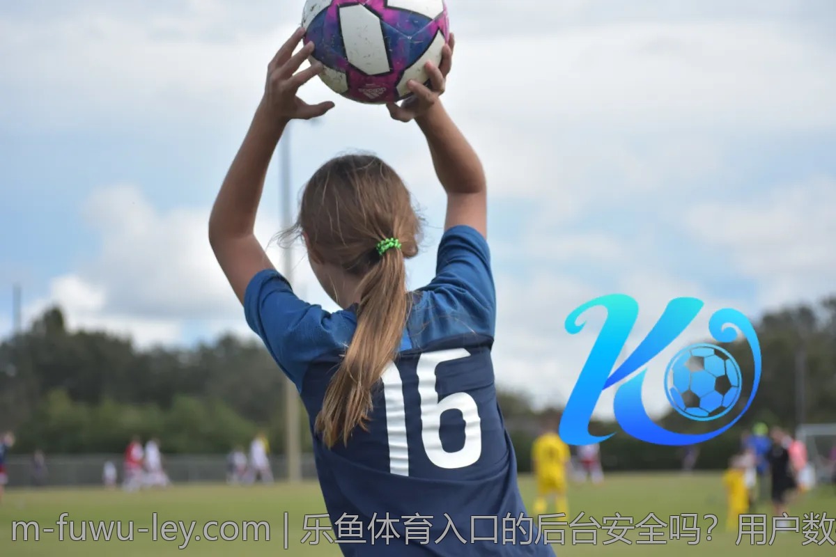 乐鱼体育入口的后台安全吗？用户数据保护很重要