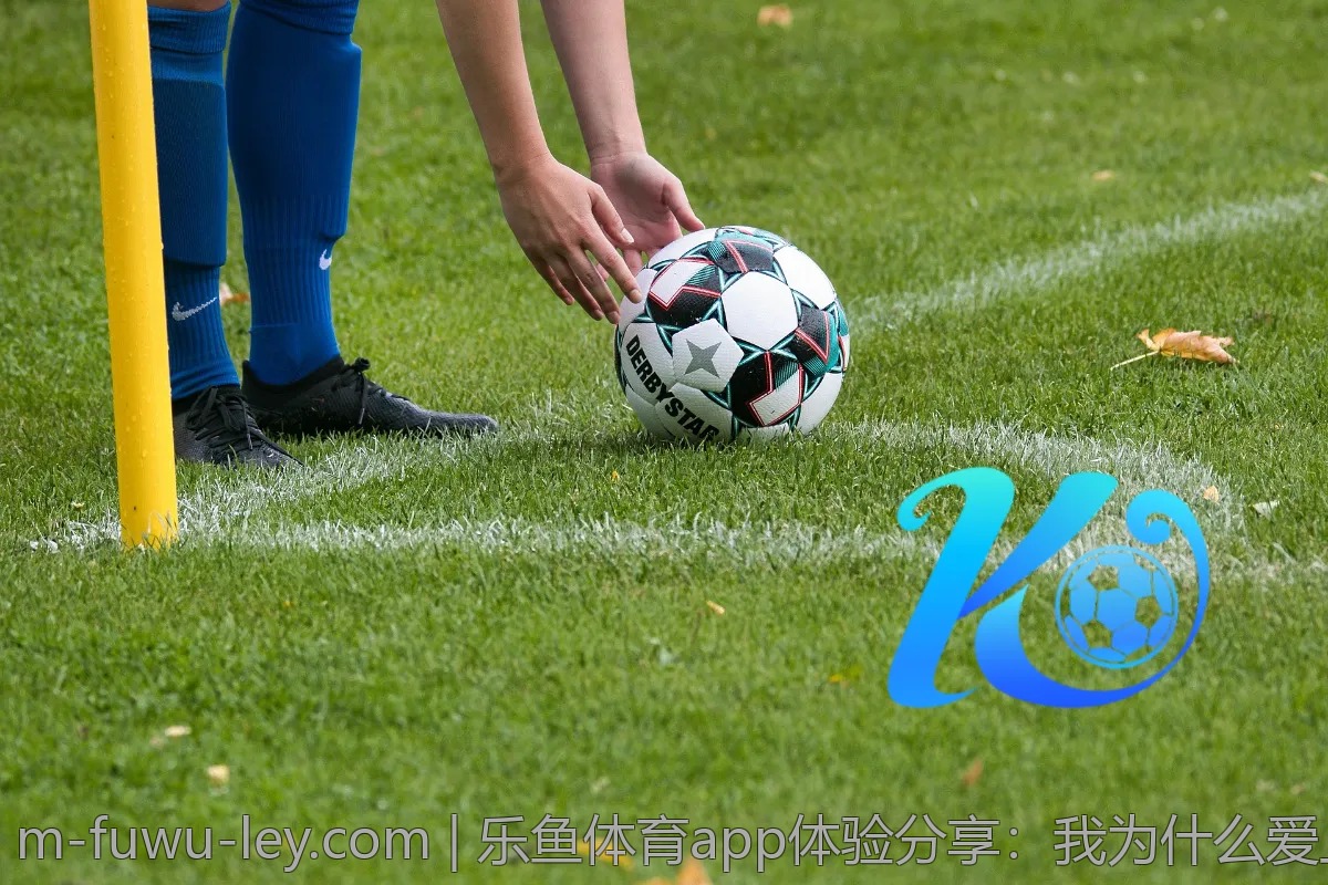 乐鱼体育app体验分享:我为什么爱上它