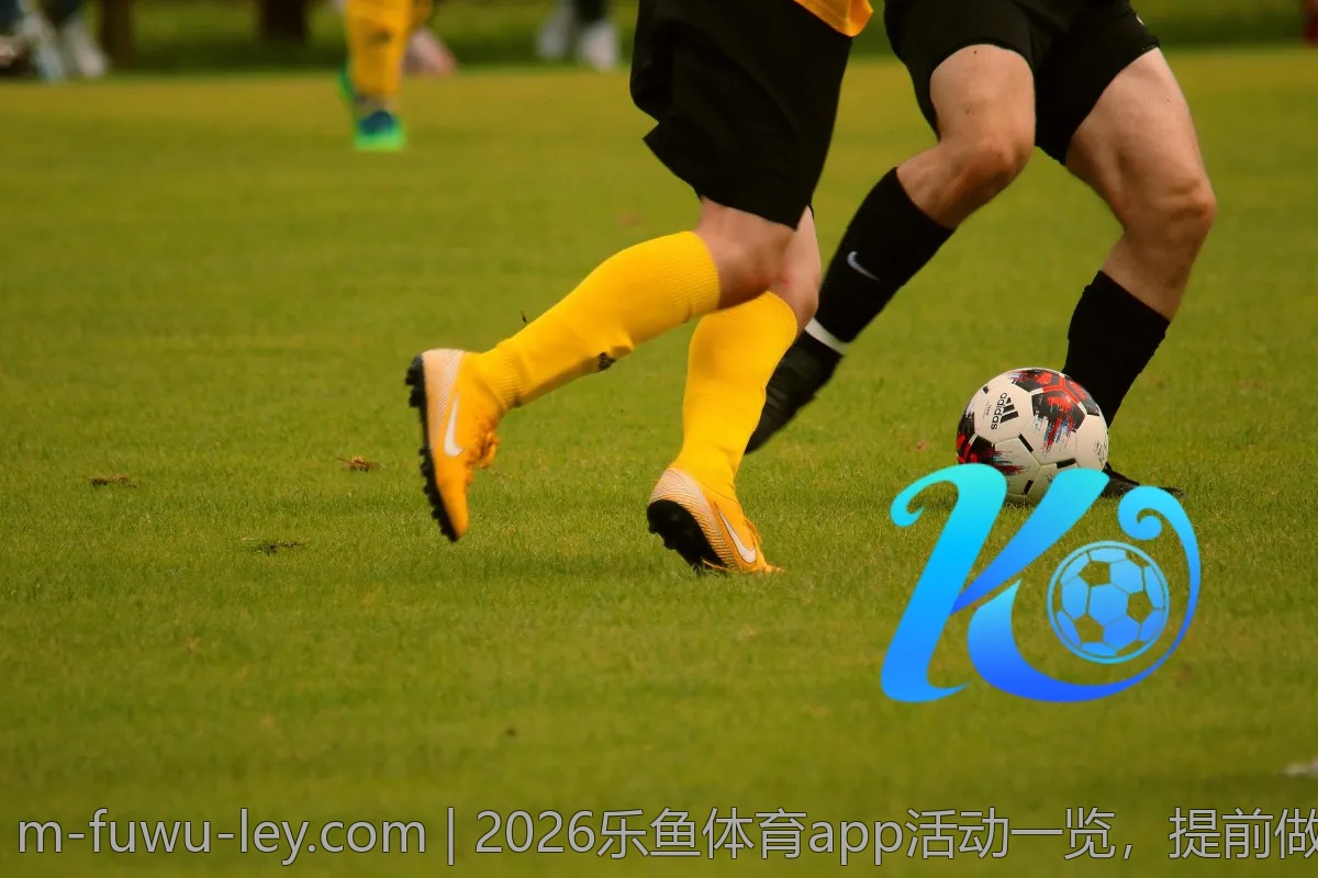 2026乐鱼体育app活动一览，提前做好准备